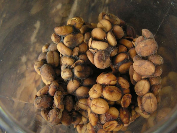最恶心的食物_瑞典建 最恶心 食物博物馆,中国皮蛋入选 网友 都是
