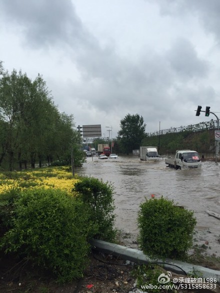 辽宁各地网友拍摄辽宁大雨