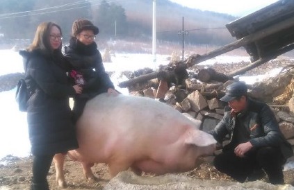 本溪总人口_本溪水洞(3)
