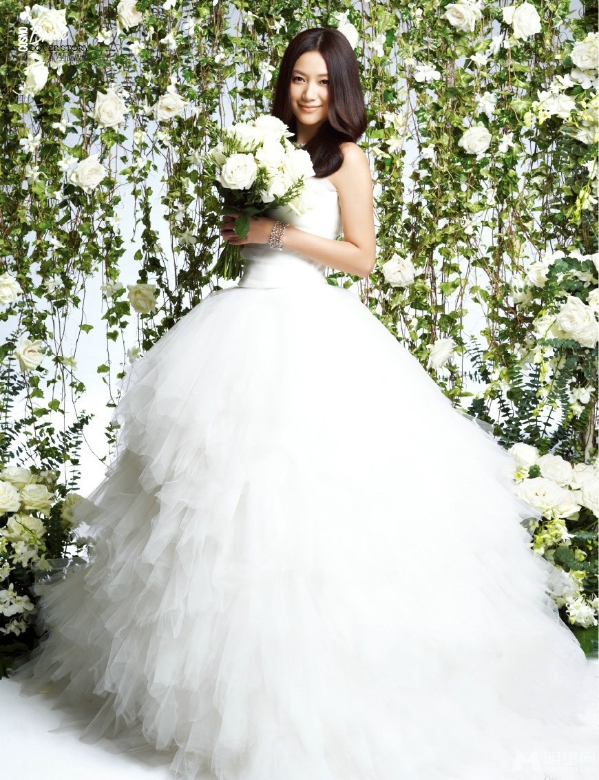 婚纱的照片_最漂亮的婚纱照片(3)