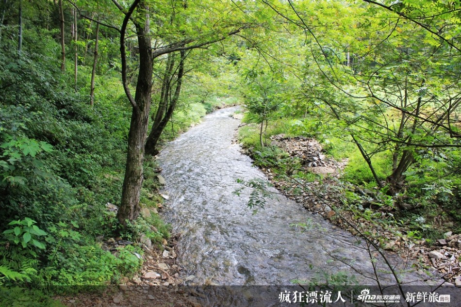 浏阳有多少人口_湖南最难懂的10种方言大赛,你的家乡排第几(3)
