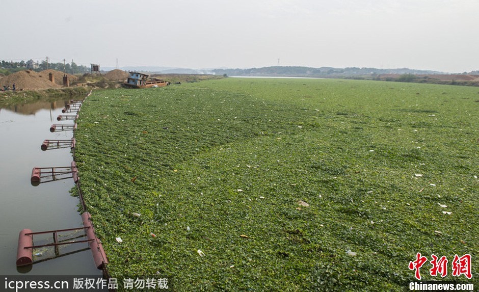 株洲市多少人口_株洲市地图(3)