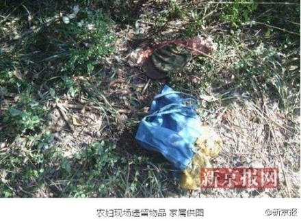 村人口肖姓_人口普查