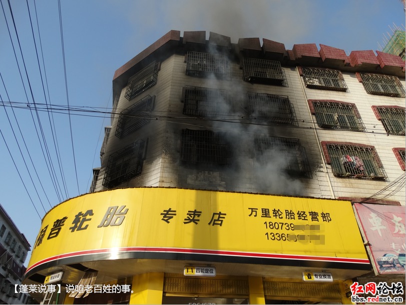 邵东城区人口_邵阳新闻 在线讯( )秋风送爽,喜鹊登枝.(2)