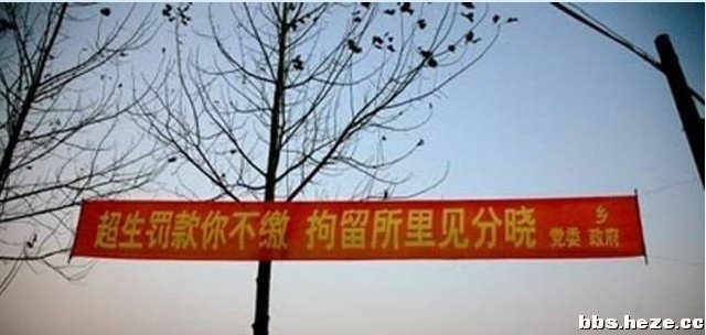 十八以后人口新政策_猪年出生人口会不会增多 对未来人口及人口政策的展望(3)
