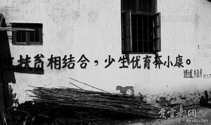 十八以后人口新政策_猪年出生人口会不会增多 对未来人口及人口政策的展望