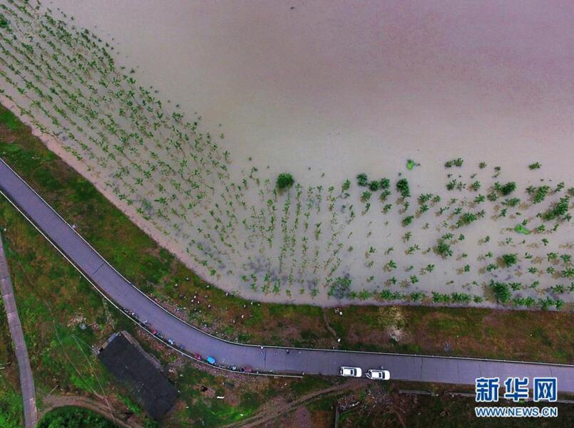 安乡县的人口_安乡县地图全图(2)