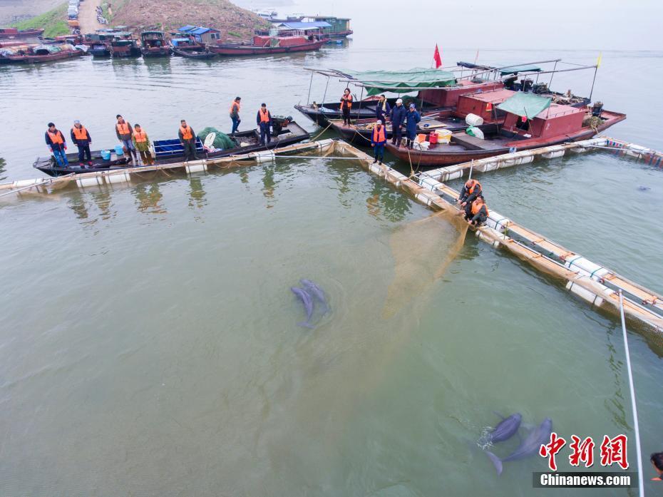 江西都昌人口_江西九江都昌图片(3)