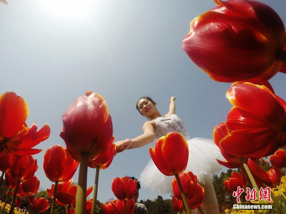 什么花齐放的成语_草什么花什么成语(3)