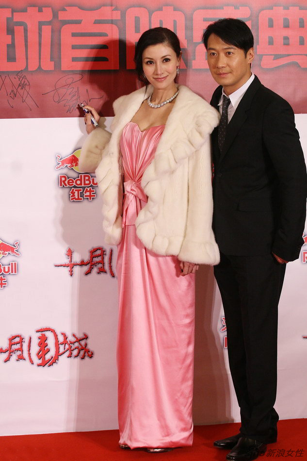 李嘉欣与黎明