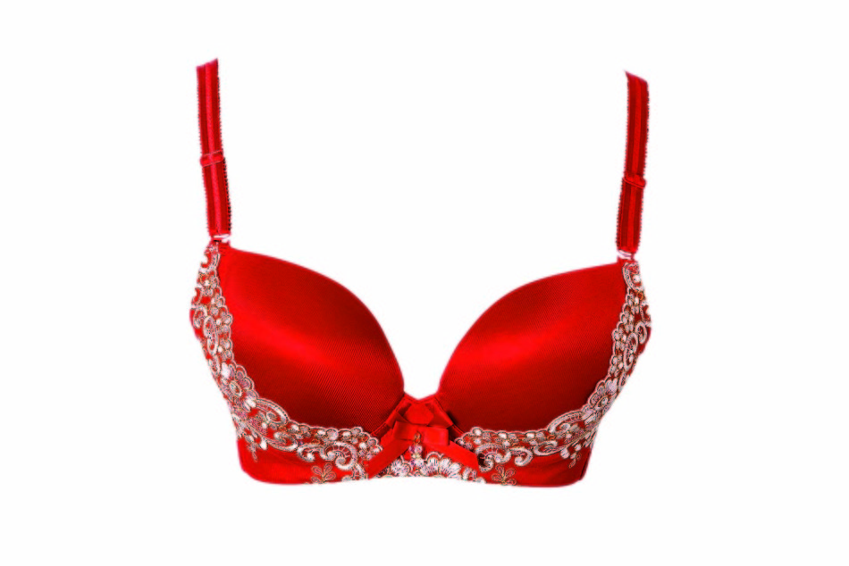 红色金边文胸+爱慕