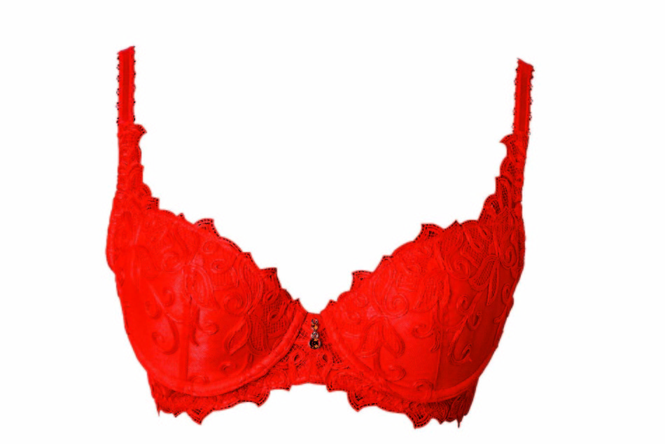 <em>红色</em>蕾丝<em>文胸</em>+<em>爱慕</em>