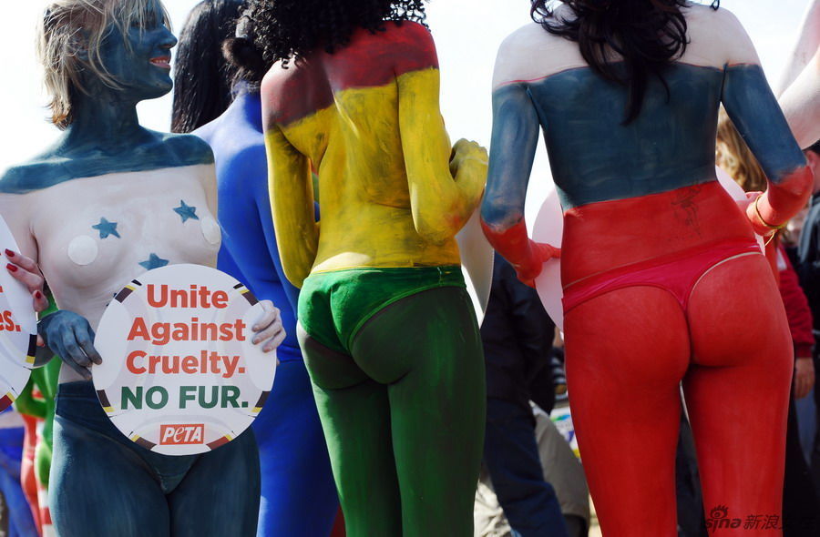 <em>美女人体</em>彩绘32强国旗 倡议善待动物 -- 佛山E