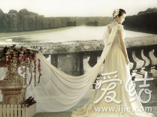 玫瑰花瓣婚纱_玫瑰花瓣(3)