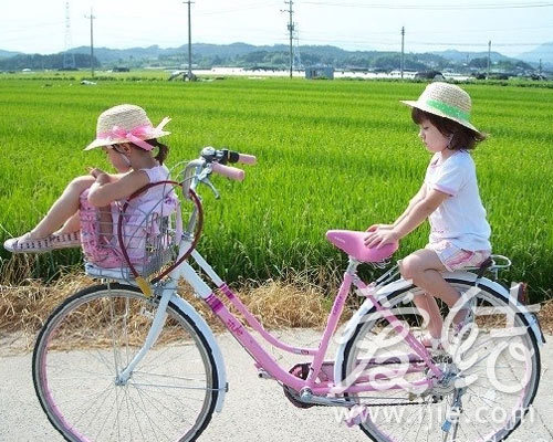 超Q的混血<em>双胞胎姐妹</em>花 -- 佛山E家|佛山信息网