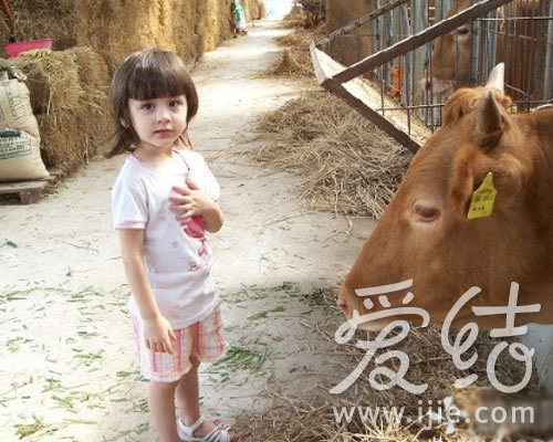 超Q的<em>混血双胞胎姐妹</em>花 -- 佛山E家|佛山信息网