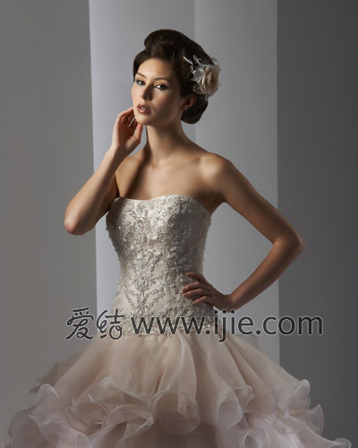 婚纱品牌_最贵的婚纱品牌(2)