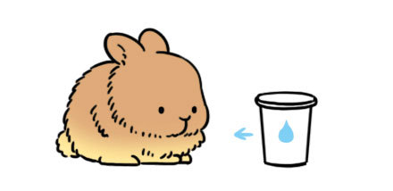 真胖和虚胖对比图