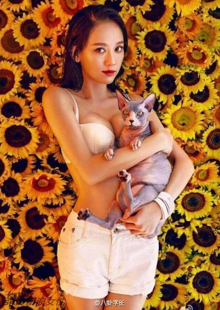 陈乔恩昔日性感写真 半裸抱猫曲线毕露