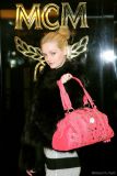 MCM2010ﶬݻϵ