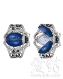 Boucheronʱָ