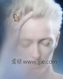  2012鱦