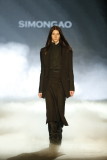 2013ﶬSimonGao
