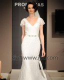 Pronoviasɴ