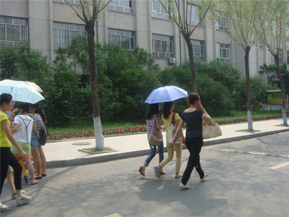 东北林业大学正科级和副处级干部月工资分别是