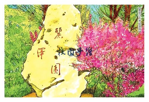 黑龙江大学校园风景手绘画作.-黑龙江大学校园手绘