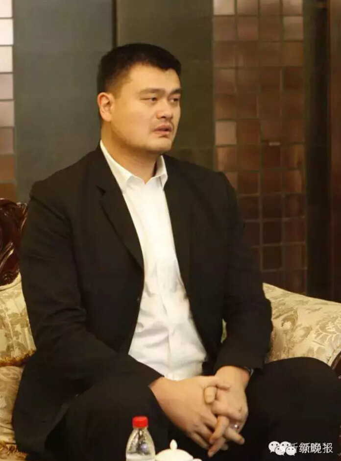 鲨鱼老总_鲨鱼简笔画