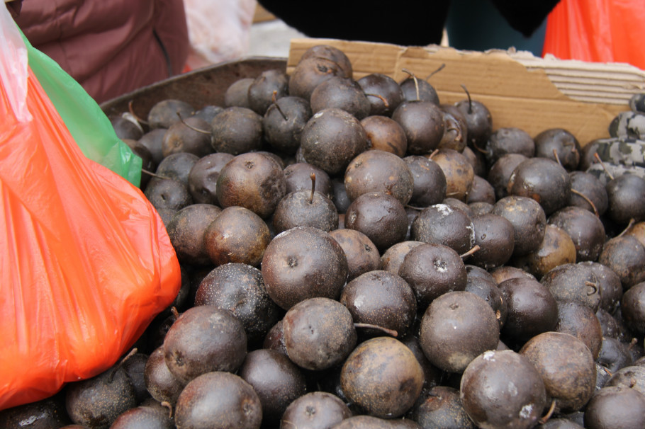 什么是黄皮什么是黑皮 29253_4804166_446225.jpg