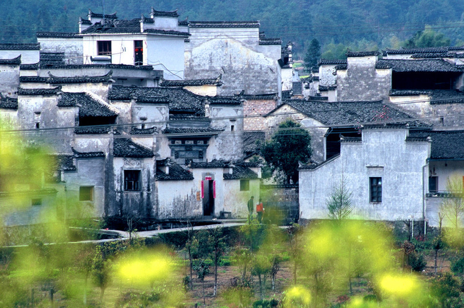 安徽真实人口_安徽九华山图真实照片