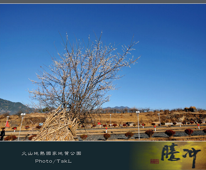 云南腾冲人口_黑河和云南腾冲人口比重取决于什么(3)