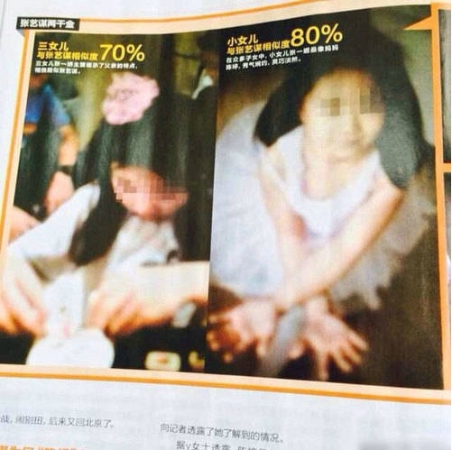 巩俐张艺谋_张艺谋的收入(3)