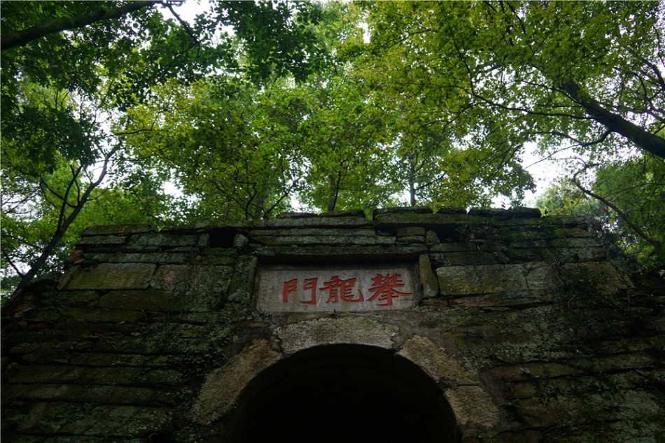 28435_3678067_315072.jpg