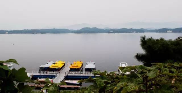 包诗雨安河桥吉他谱-【舒城站到了】逛:舒城是中国龙文化发源地之一,全国十三家梁祝文