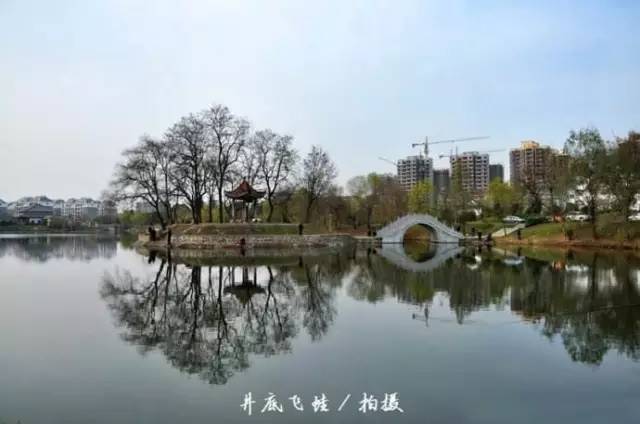 中国人口最多的县_安徽省人口最多的县