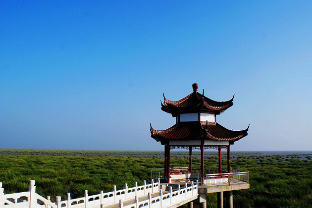 如东海鲜之乡_如东营业执照_海鲜图片大全(2)