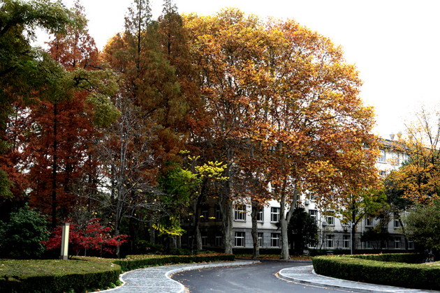 南京人口学院 地址_南京人口管理干部学院人才招聘(2)