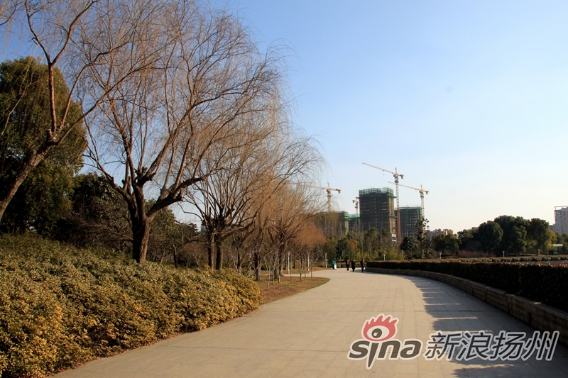 扬州现人口_扬州炒饭图片