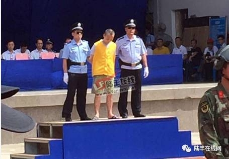 陆丰市东海镇人口_广东陆丰宣判大会人山人海 13名毒犯被判死刑(2)