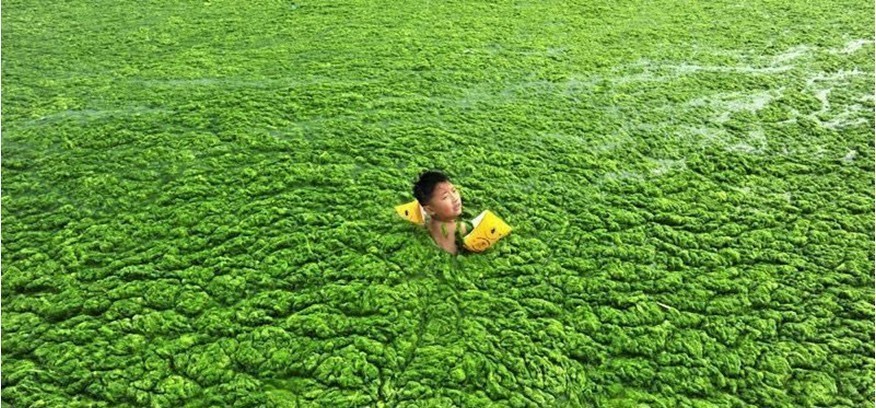 世界人均水量_凹凸世界金(2)