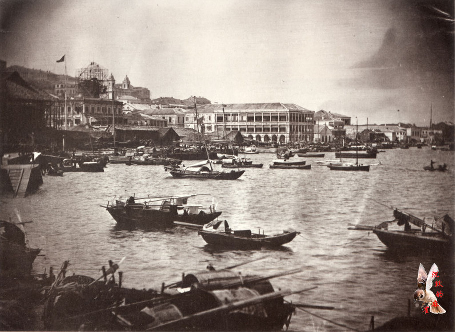 1860年香港人口_香港人口