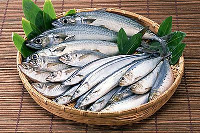 鱼类品种大全 31937_1002509_786436.jpg