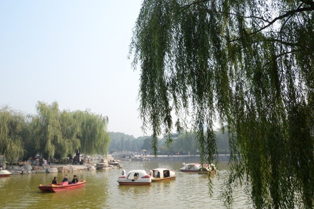 为什么邯郸是成语之乡_邯郸成语之乡手抄报(2)