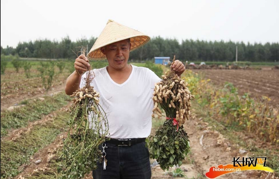 滦南县人口_滦南县 情暖空巢 夕阳路上健康伴您行 志愿服务行动全面启动(3)