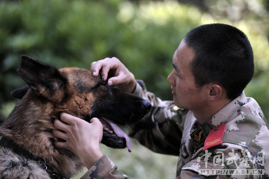 五保户老人生养死脏老是我出钱请回我能继承他