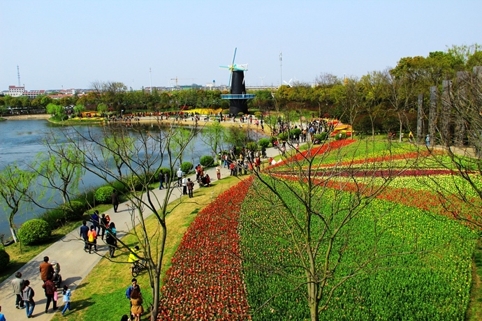 上海鲜花种植_鲜花种植图案_一束鲜花图片大全大图
