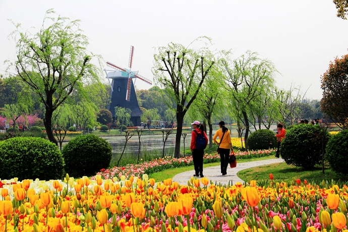 上海鲜花种植_鲜花种植图案_一束鲜花图片大全大图